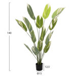 ΔΙΑΚΟΣΜΗΤΙΚΟ ΣΥΝΘΕΤΙΚΟ ΦΥΤΟ HM7997 CALATHEA ΣΕ ΓΛΑΣΤΡΑ 140Υεκ. - Image 2