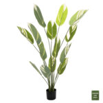 ΔΙΑΚΟΣΜΗΤΙΚΟ ΣΥΝΘΕΤΙΚΟ ΦΥΤΟ HM7997 CALATHEA ΣΕ ΓΛΑΣΤΡΑ 140Υεκ.