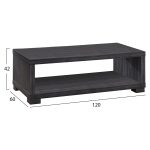 ΤΡΑΠΕΖΙ ΣΑΛΟΝΙΟΥ SALEM HM2217.01 ZEBRANO 120Χ60Χ42εκ. - Image 2